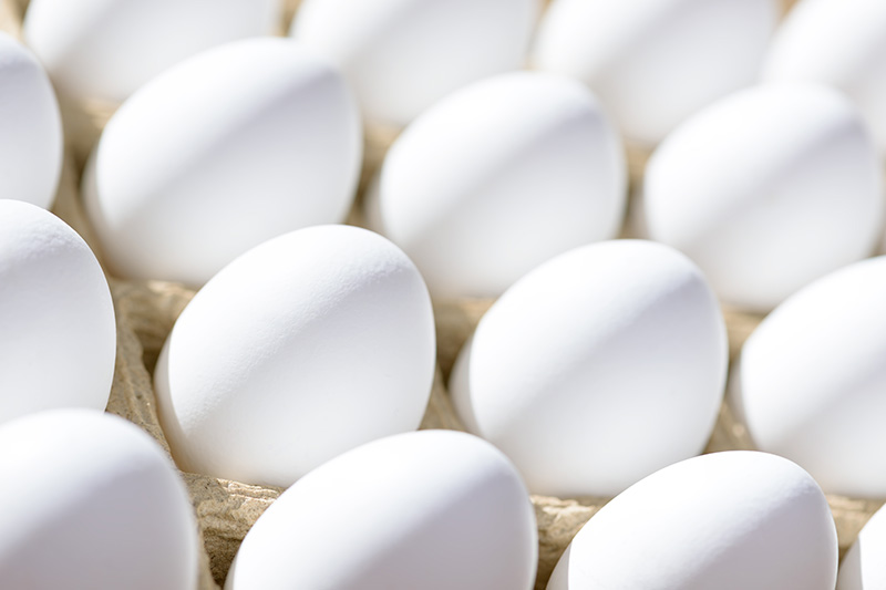 Дезинфекция поверхности скорлупы пищевых яиц
